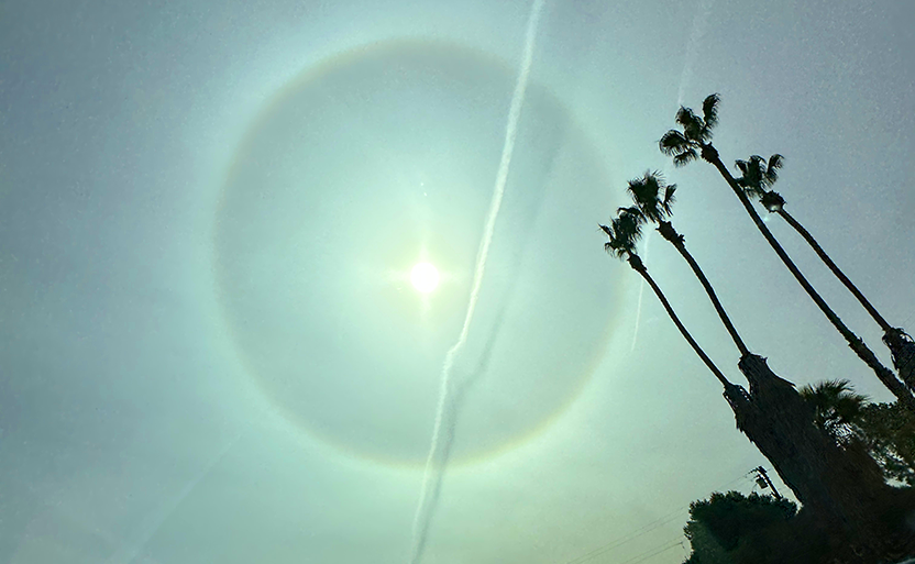 a sun halo above palm trees in southern california on Feb 17 2023